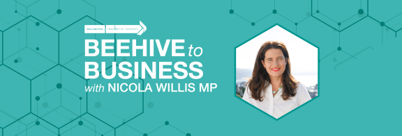 Nicola Willis Banner 