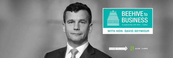 B2B David Seymour Website Banner